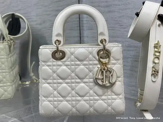 Tony Luxuries LADY DI0R-20CM 0620